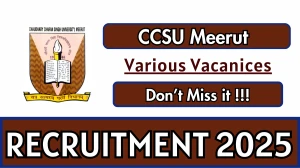 CCSU Recruitment 2025 - Apply Online for 12 Meerut Director, Assistant Director and More Posts by Sep 28
