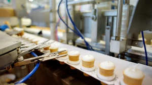 Cream Stone Welcomes Proposed GST Relief as a Boost to India’s Ice Cream Industry