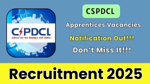 CSPDCL Apprentices Recruitment 2025 - Apply Offline for 23 Posts by Sept 25