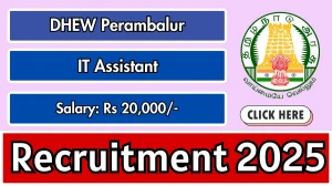 DHEW Perambalur IT Assistant Recruitment 2025 - Apply Offline