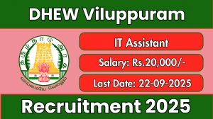 DHEW Viluppuram IT Assistant Recruitment 2025 - Apply Offline by Sep 22