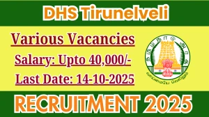 DHS Tirunelveli Recruitment 2025 - Apply Online for 44 Consultant, Therapeutic Assistant and More Posts DHS Tirunelveli Recruitment 2025 - Apply Online for 44 Consultant, Therapeutic Assistant and More Posts