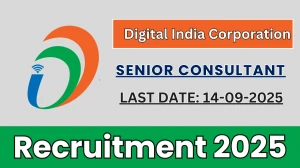 Digital India Corporation Senior Consultant Recruitment 2025 - Apply Online by Sep 14