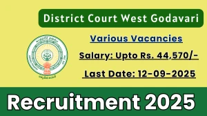 District Court West Godavari Recruitment 2025 - Apply Offline for 11 Head Clerk, Attender and More Posts by Sep 12