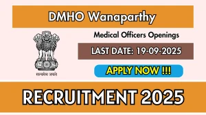 DMHO Wanaparthy Medical Officers Recruitment 2025 - Apply Offline for 03 Posts by Sep 19