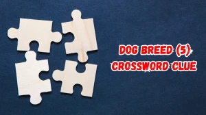 Dog breed Crossword Clue Irish Daily Mail Quick 5 letters Answer