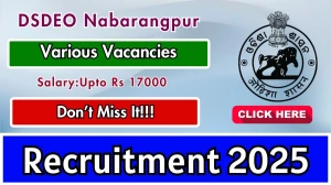 DSDEO Nabarangpur Recruitment 2025 - Apply Online for Field Credit Officer, Development Officer Posts