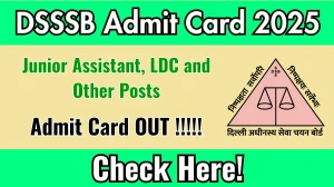 DSSSB Junior Assistant, LDC and Other Posts Admit Card 2025 OUT Download Hall Ticket at dsssb.delhi.gov.in DSSSB Junior Assistant, LDC and Other Posts Admit Card 2025 OUT Download Hall Ticket at dsssb.delhi.gov.in