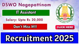 DSWO Nagapattinam IT Assistant Recruitment 2025 - Apply Offline for 01 Posts by Sept 29