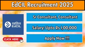 EdCIL Recruitment 2025 - Apply Online for 03 Senior Consultant, Consultant Posts by Sept 23