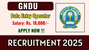 GNDU Data Entry Operator Recruitment 2025 - Apply Offline