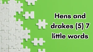 Hens and drakes 7 Little Words 5 letters Answer