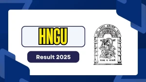 HNGU Result 2025 Out at ngu.ac.in Direct Link to Download 2nd Semester Result