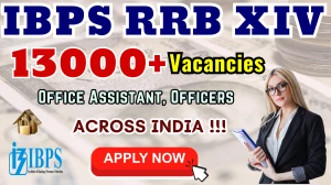 IBPS RRB Gramin Bank Recruitment 2025 - Apply online for 13,217 Office Assistant, Officers Posts by 28 Sep IBPS RRB Gramin Bank Recruitment 2025 - Apply online for 13,217 Office Assistant, Officers Posts by 28 Sep