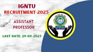 IGNTU Assistant Professor Recruitment 2025 - Apply Offline for 01 Posts by Sept 29