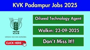 KVK Padampur Oilseed Technology Agent Recruitment 2025 – Walk in for 01 Posts