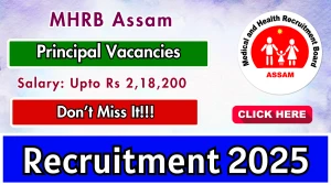 MHRB Assam Principal Recruitment 2025 - Apply Online for 01 Posts by Sept 15