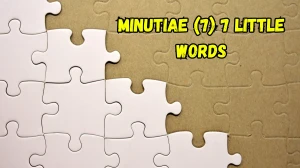Minutiae 7 Little Words 7 letters Answer