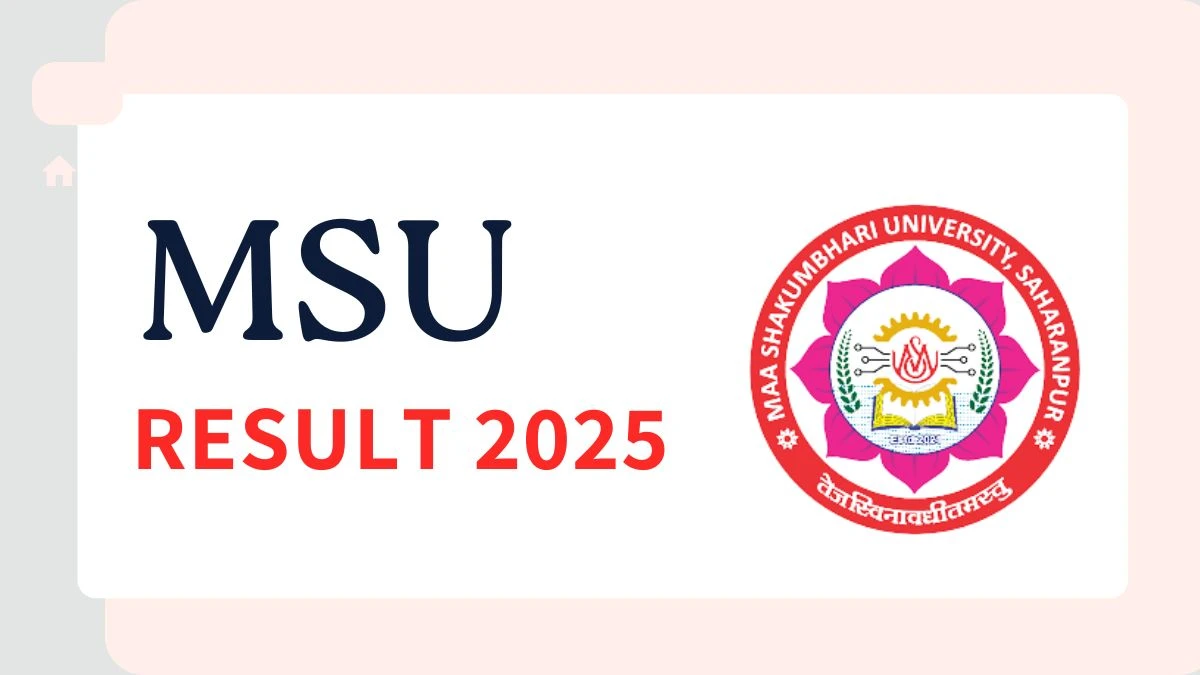 MSU Result 2025 Released at msuresults.com Direct Link to Download 2nd and 4th Semester Result