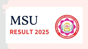 MSU Result 2025 Released at msuresults.com Direct Link to Download 2nd and 4th Semester Result