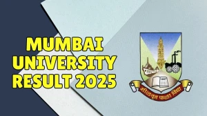 Mumbai University Result 2025 Out at mu.ac.in Direct Link to Download 1st, 2nd, 3rd, 4th Sem Result