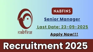 NABFINS Senior Manager Recruitment 2025 - Apply Online by Sep 23