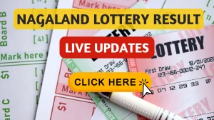 Nagaland Dear Lottery Sambad Result Today 12-09-2025 6 PM: Check all Dear Dasher Friday Winning Numbers Here