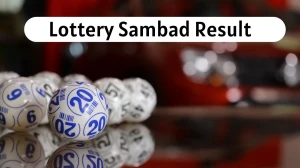 Nagaland Dear Lottery Sambad Result Today 14-09-2025 6 PM Out: Check all Dear Vixen Sunday Winning Numbers Here