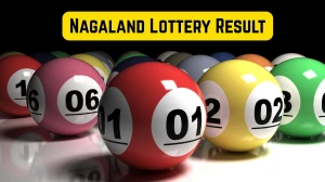 Nagaland Dear Lottery Sambad Result Today 27-09-2025 1 PM OUT: Check all Dear Narmada Saturday Winning Numbers Here