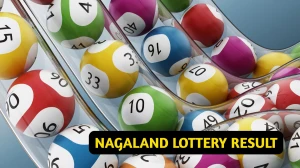Nagaland Dear Lottery Sambad Result Today 29-09-2025 1 PM OUT: Check all Dear Dwarka Monday Winning Numbers Here