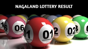 Nagaland Dear Lottery Sambad Result Today 29-09-2025 6 PM OUT: Check all Dear Blitzen Monday Winning Numbers Here