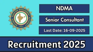 NDMA Senior Consultant Recruitment 2025 - Apply Offline by Sep 16