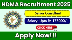 NDMA Senior Consultant Recruitment 2025 - Apply Online for 01 Posts by Sep 24