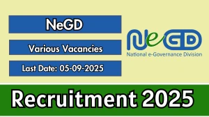 NeGD Recruitment 2025 - Apply Online for 33 Head SeMT, Senior Consultant and More Posts