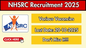 NHSRC Recruitment 2025 - Apply Online for Senior Consultant, Consultant and More Posts by Oct 20