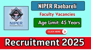 NIPER Raebareli Faculty Recruitment 2025 - Apply Online