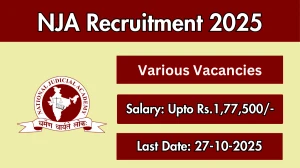NJA Recruitment 2025 - Apply Offline for 04 Research Fellow, Manager and More Posts by OCt 27