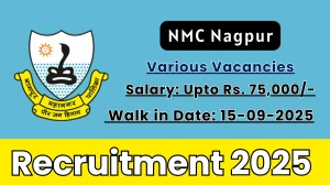 NMC Recruitment 2025 – Walk in for 09 Nagpur Pediatrician, Medical Officer and More Posts
