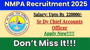 NMPA Senior Deputy Chief Accounts Officer Recruitment 2025 - Apply Online for 01 Posts by Sept 19