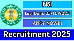NSI Young Professional Recruitment 2025 - Apply Offline by Sep 25