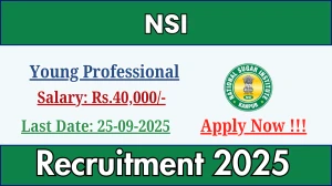 NSI Young Professional Recruitment 2025 - Apply Offline by Sep 25