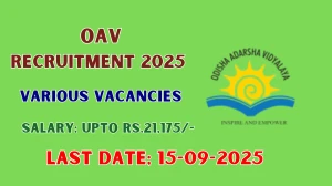OAV Recruitment 2025 - Apply Offline for 05 Warden, Head Cook and More Posts
