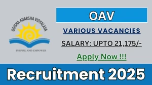 OAV Recruitment 2025 - Apply Offline for 05 Warden, Head Cook and More Posts