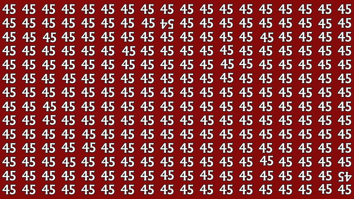 Observation Find it Out: Within 5 Seconds Spot The Inverted Number 45 and 54 among 45
