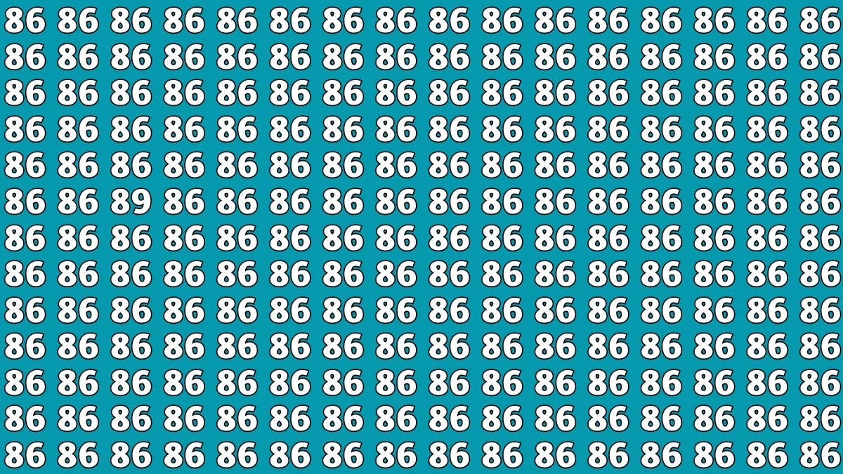 Observation Find It Out: Within 7 Seconds Spot The Number 89 among 86s