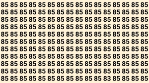 Observation Find It Out: Within 8 Seconds Spot The Number 83 among 85