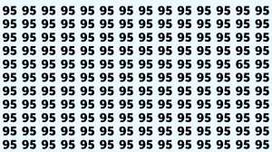Observation Find it Out: Within 9 Seconds Spot The Number 65 among 95