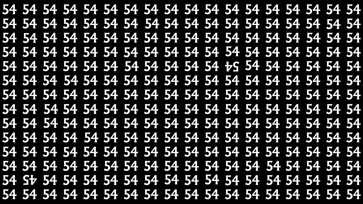 Optical Illusion: Within 6 Seconds Spot The Inverted 54 and 45 among 54s