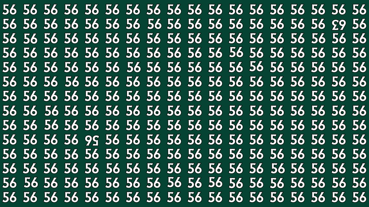 Optical Illusion: Within 6 Seconds Spot The Inverted 63 and 56 among 56s