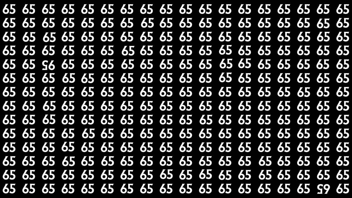 Optical Illusion: Within 6 Seconds Spot The Inverted 65 and 95 among 65s